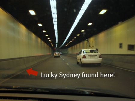 Kitten_found_Sydney_Harbour_Tunnel