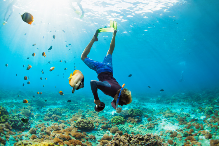 Snorkelling In The Sea
