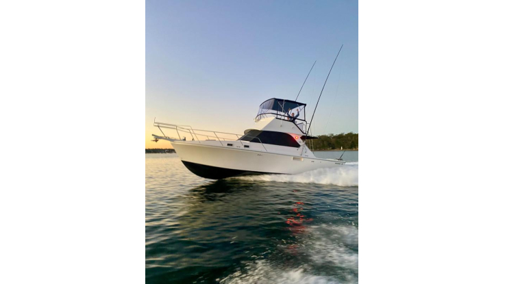 1995 Quintrex 390 EXPLORER ID 5128848 | Yacht and Boat Sales